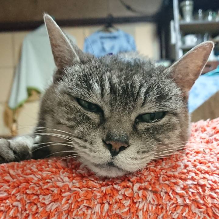 B5ccdc04 a0dc 4eab 825c 5f1170019127 1583234565596