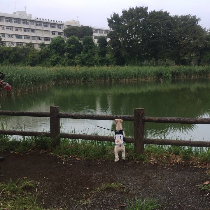 B5cd2c42 2bdd 4d45 9a12 07a630807775 1535795794565