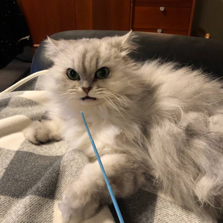 B5cd9593 5bb4 42fb bd22 45584bac2777 1616923721379