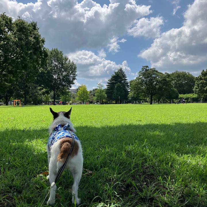 B5cdb7ce ad1e 4b2e 873c 34814460188c 1724630423946