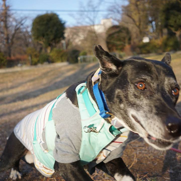 B5cdf570 4174 44ce a0d7 b9300512551a 1770337063518