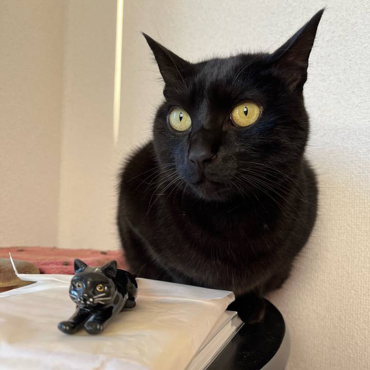 B5ce3f49 fa8b 46aa 9f5b 2bb129c44cc9 1705107842238