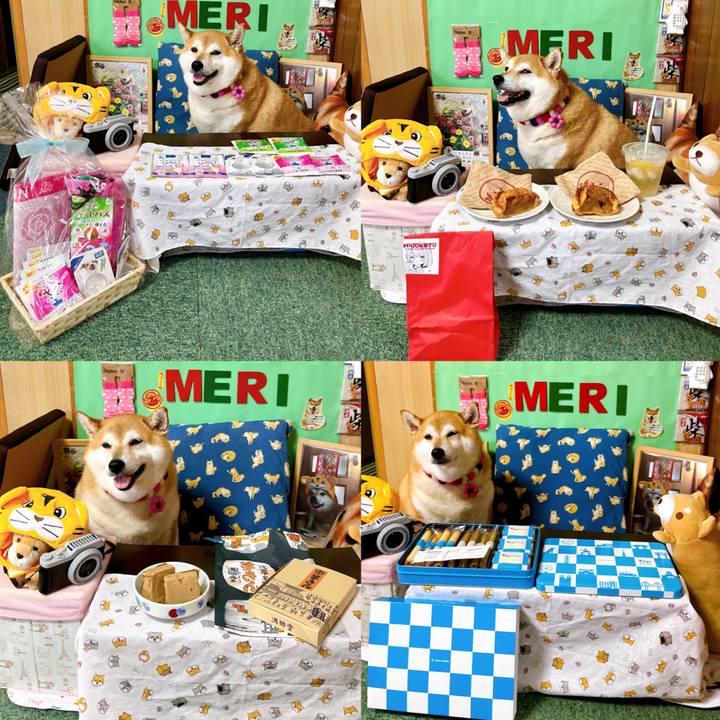 B5ce446b c54e 452a ae57 4f86525c47c4 1656053281197