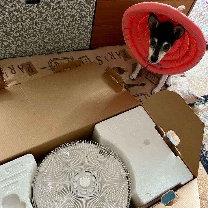 B5ce5e7f f665 49c2 b9c2 e65066a49825 1637658266005