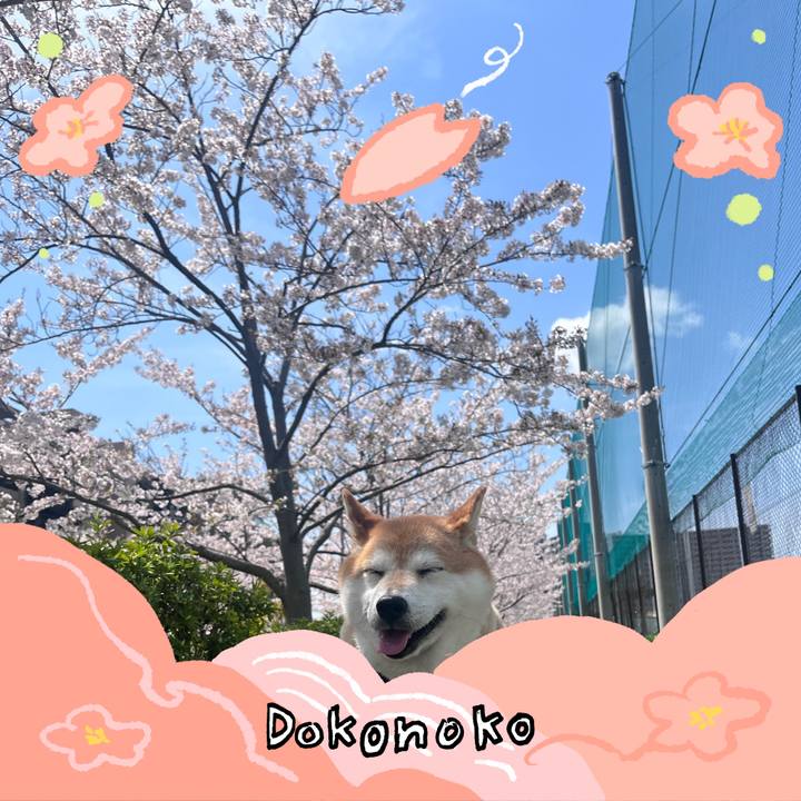B5ce63d9 698f 46d8 b584 a13ab7c7a4b8 1775203025428