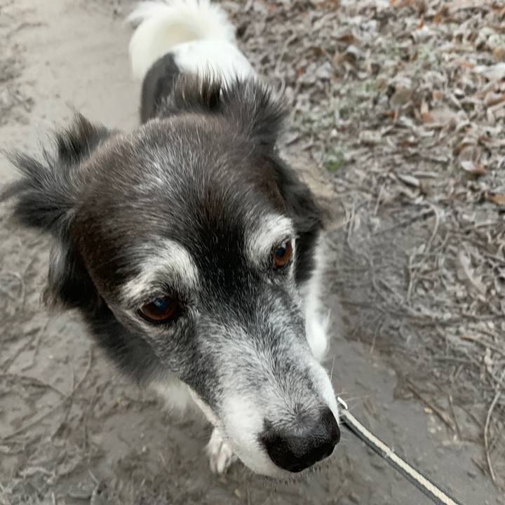 B5ce6adc bc77 473c 8c08 924eb6ee1c6f 1580708661774