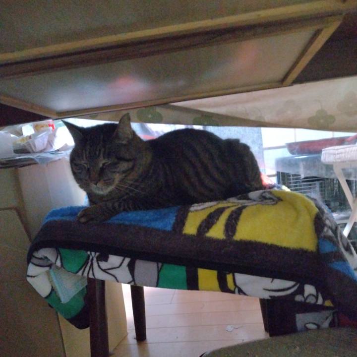 B5ce7894 104f 4078 8479 2717cffcbfeb 1675724911221