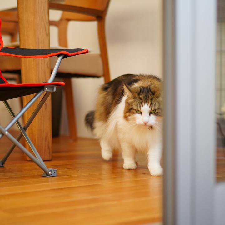 B5ce9c53 475d 4297 8771 76f75c8defd6 1666770051547