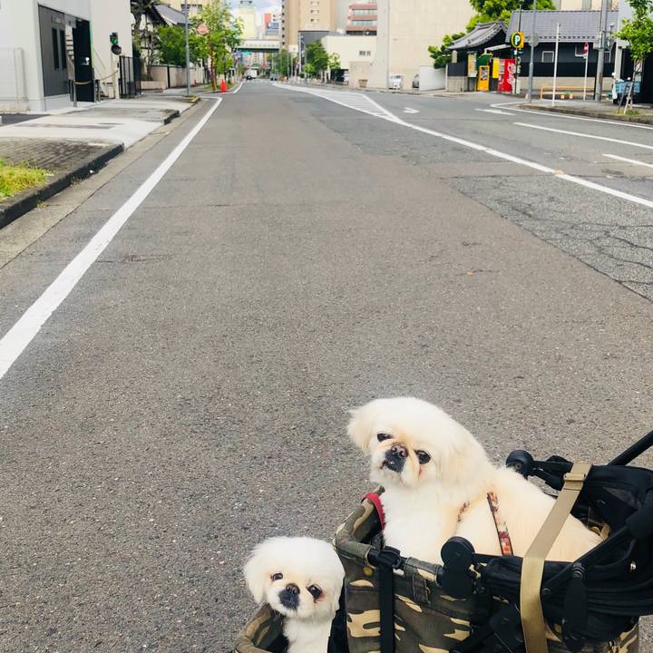 B5cecc23 8ef4 4041 b6eb 9b7162107b5b 1587249906710