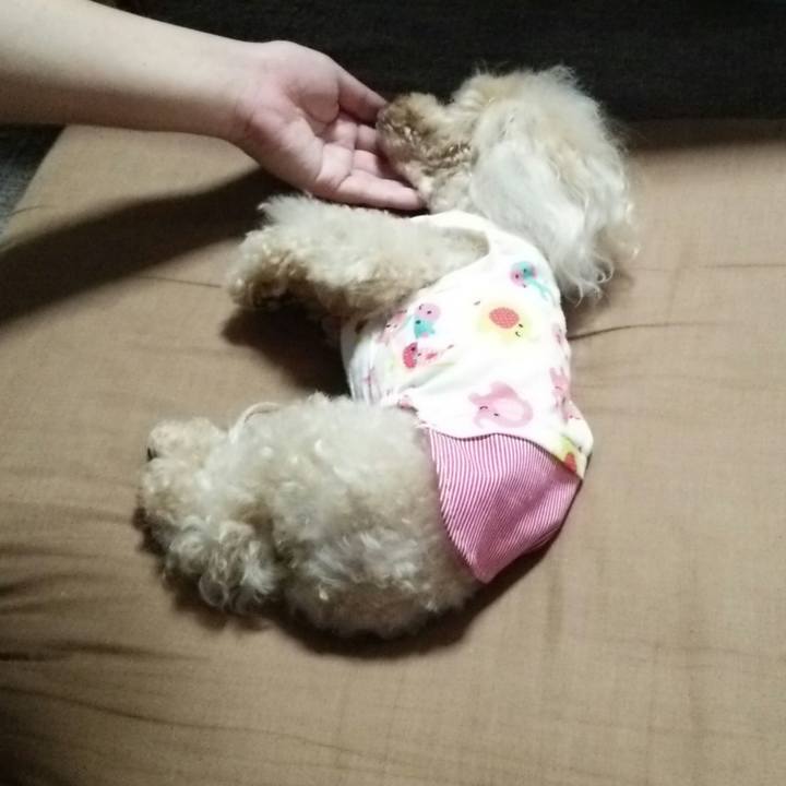 B5ced02d f449 4a5e b474 139914cba7fb 1531920544881