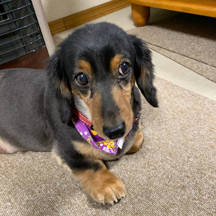 B5ceda0e 1fbf 49eb 9203 90df1b7cb167 1551996421713