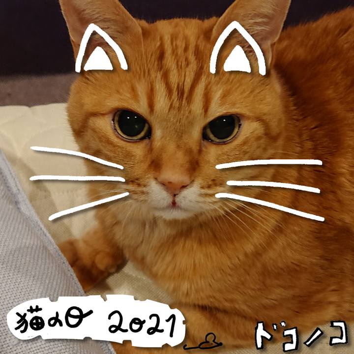 B5cf00b3 5787 412f b1bc eb93ff275890 1613979730234