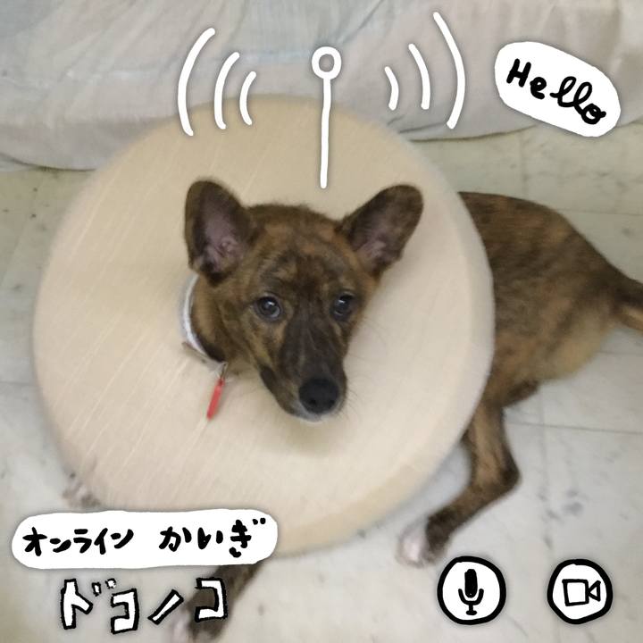 B5cf138f 410f 4626 a77d c86a8d7914a3 1590746990445