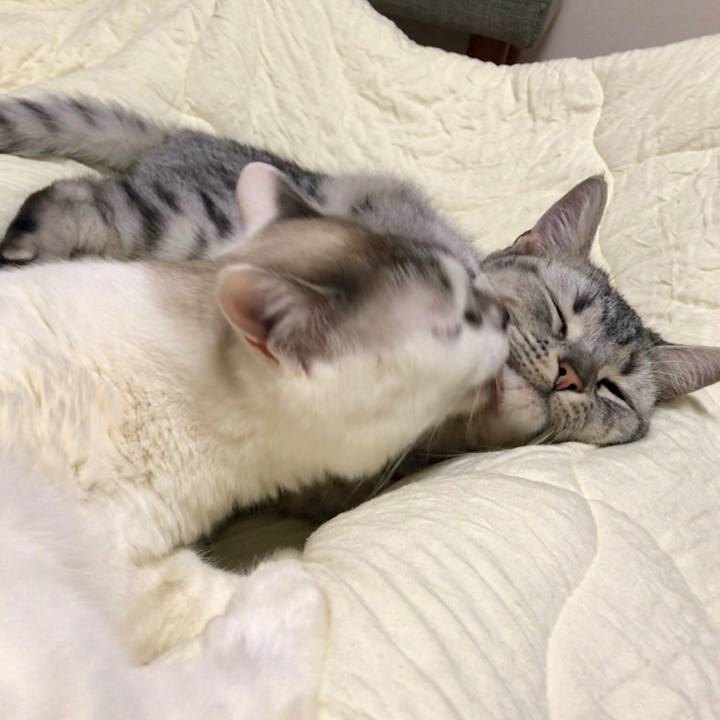 B5cf2330 d59b 4156 8285 2c4591172ba1 1544283154296