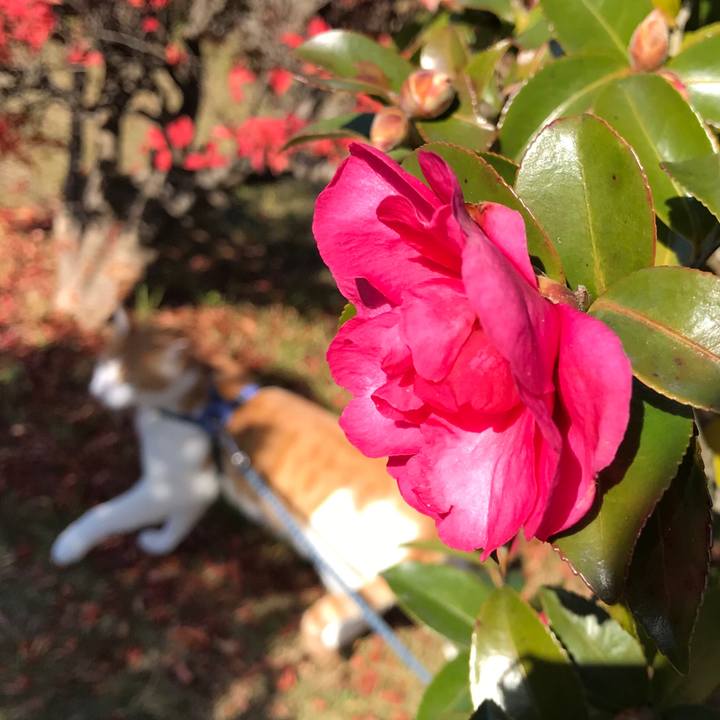 B5cf623c 570a 4894 95d7 5949fc69ea98 1512011235246