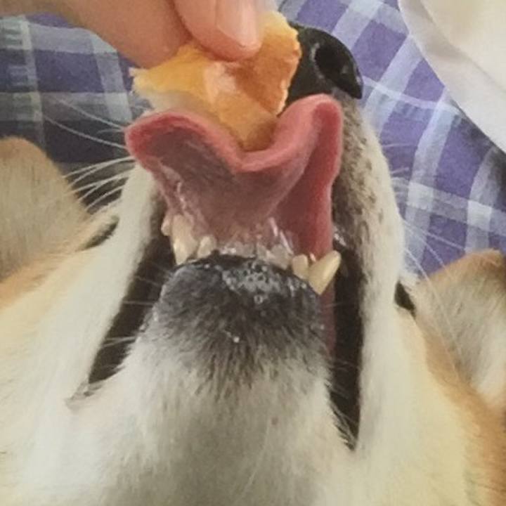 B5cf7d96 e40a 4f6b 8c14 6cad07a23345 1623992203627