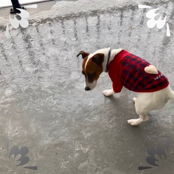 B5cf878a 316f 44f2 ab76 056e100d02d8 1547075942733