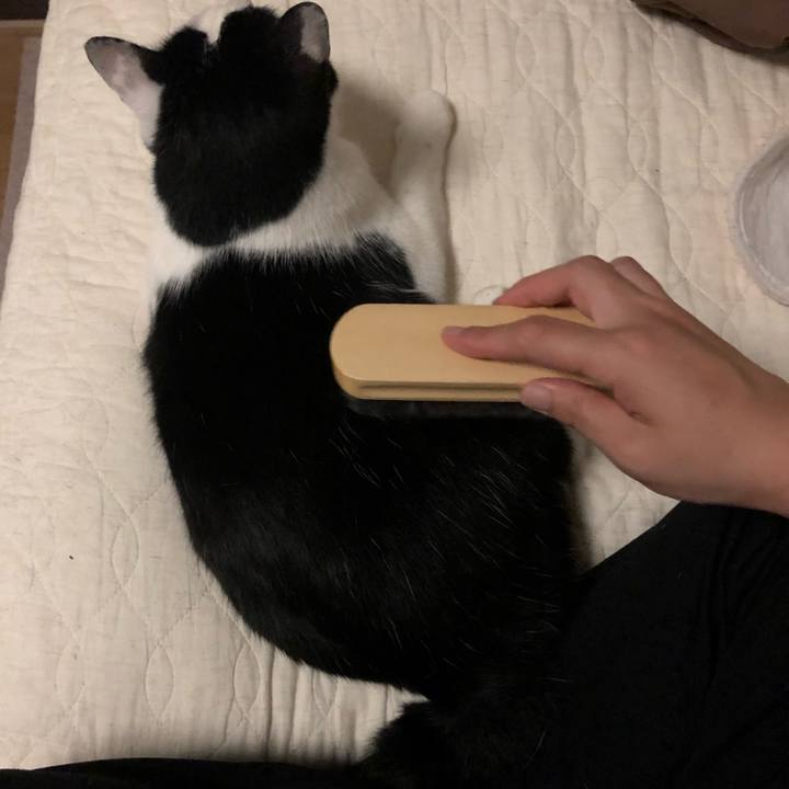 B5cfa413 e267 4a38 a562 5d2d266fa1ef 1558437171195