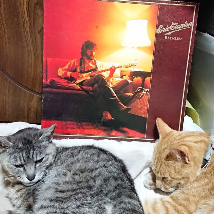 B5cfa77a 6de6 478b 867d c331f2d7a371 1591364098693