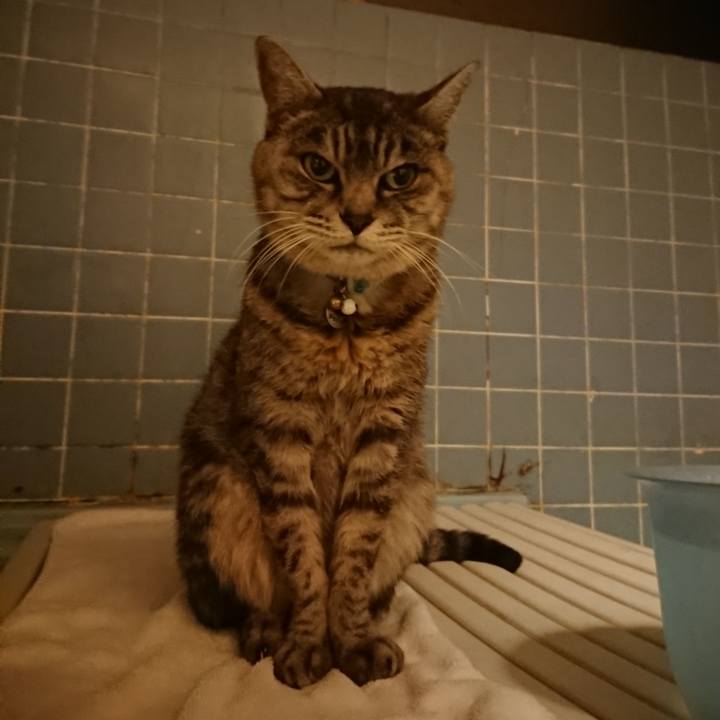 B5d008f8 7cd2 43d2 937d 8b7134e36ac7 1574759586532