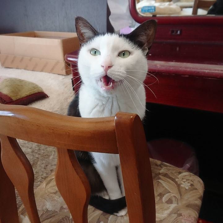 B5d02bb7 4709 4954 b9f1 2acd0b10ca4e 1553388902327