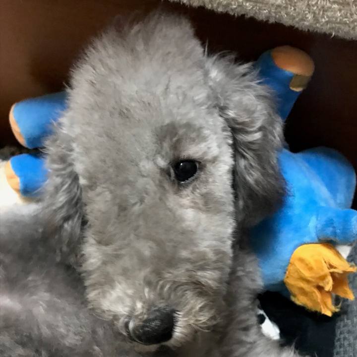 B5d0369e 42db 4fc2 9eac ae2b17809959 1572771187650