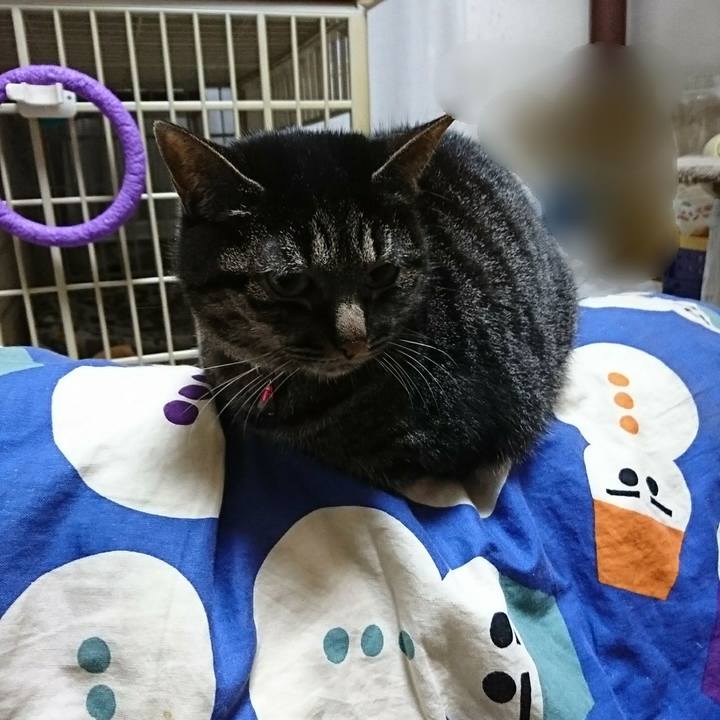 B5d037d1 6218 4bda b212 50d52559b6d2 1512399035807