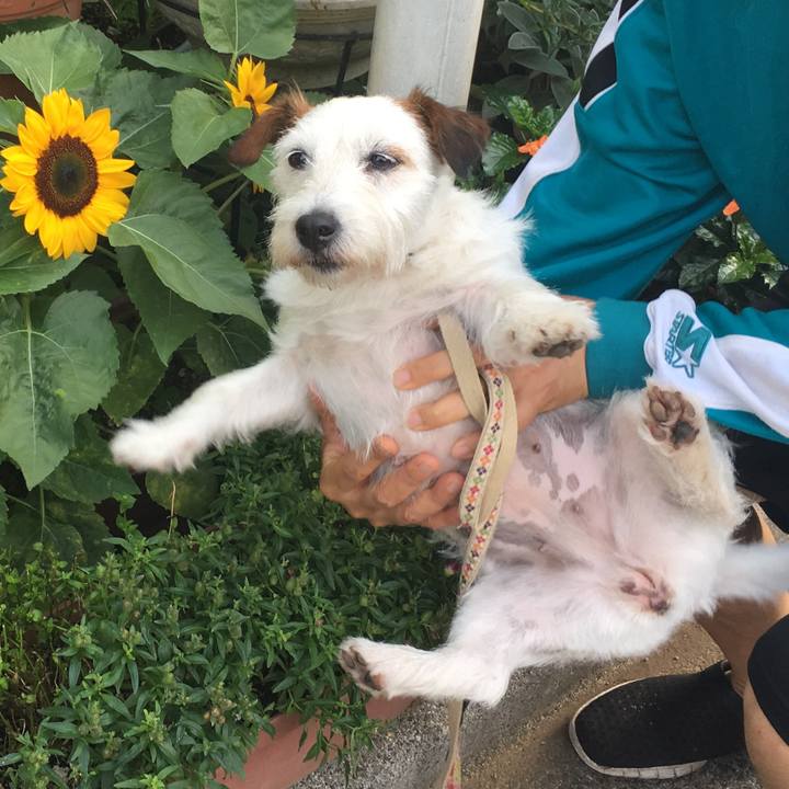 B5d08a0b 48ab 4702 8fba df692fd66371 1530803265797