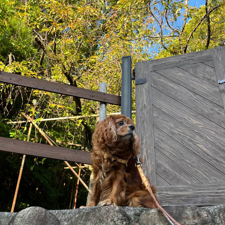 B5d0b86d 146a 4616 a5f0 b4e7b6ec0eb9 1698450947935