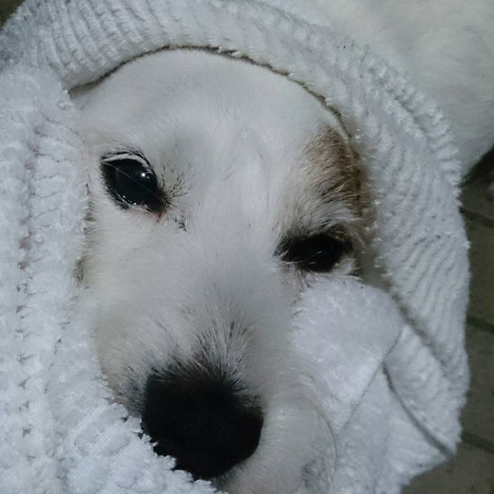 B5d0d1e8 b7f7 4f32 8357 22883aa73821 1508193410820