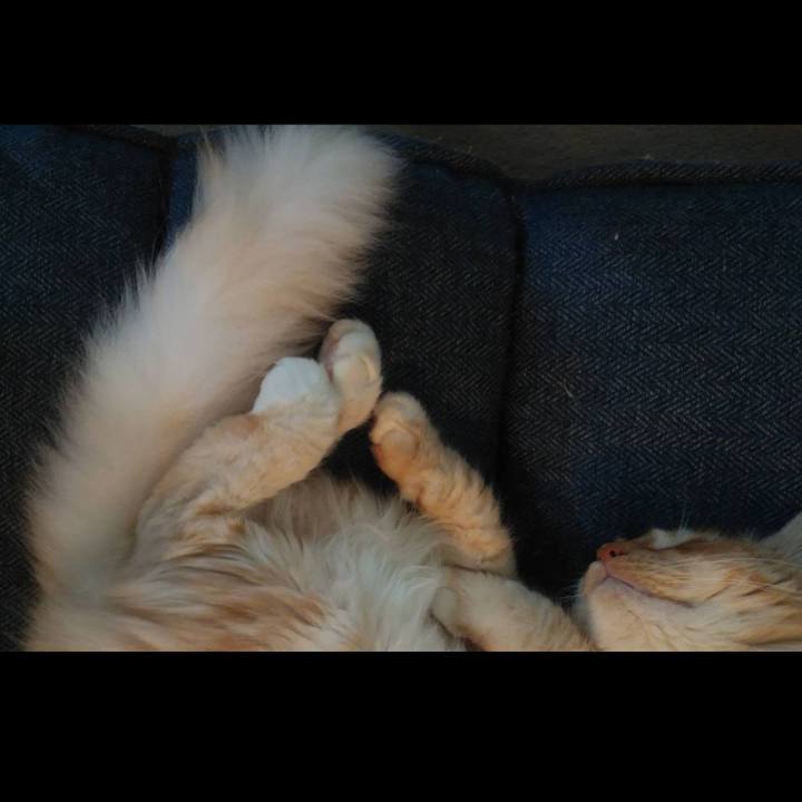 B5d0e5d3 8392 4201 84f7 2287a4972db8 1623035958564