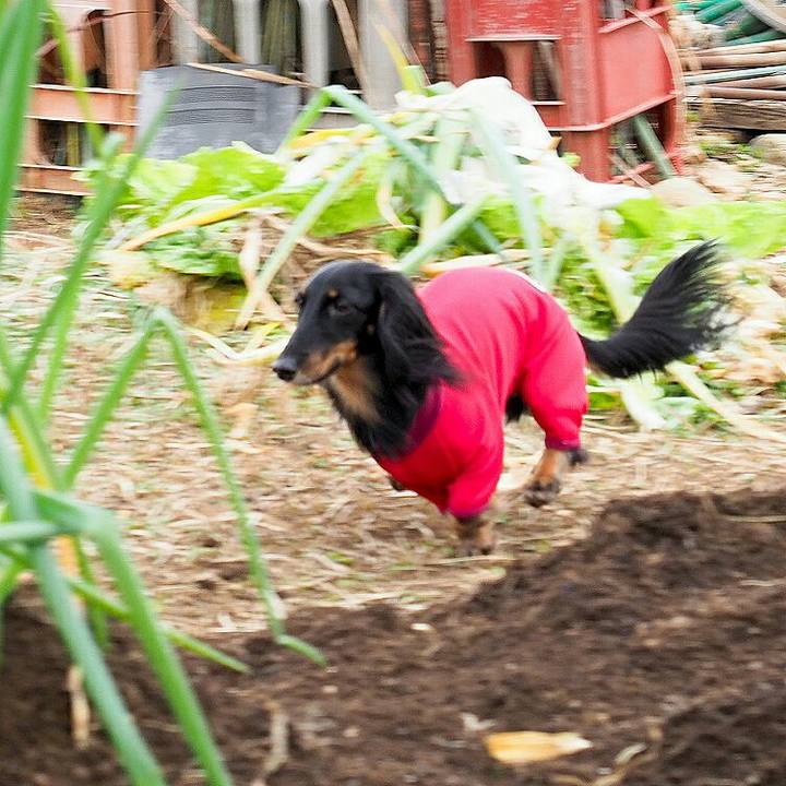 B5d0ead9 1795 4088 9444 f810be2abaf4 1578030520213