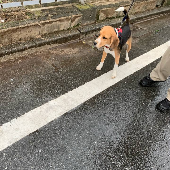 B5d134d5 0877 4f34 811c 8860d2a7b86c 1571014057101