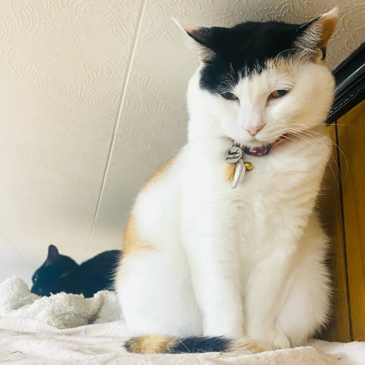 B5d136bf e183 47b3 a457 d8bca77395f1 1712696749348