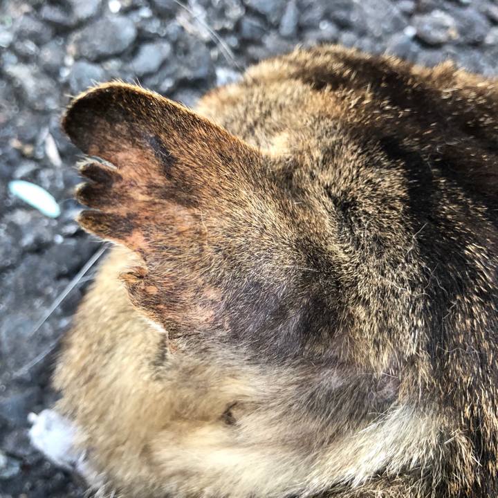 B5d141c8 0e5e 4ae6 8911 6df83864857a 1527172153301