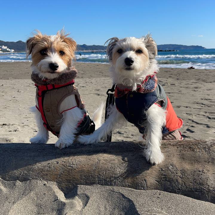 B5d146b0 d5d2 4919 867d 8852cee6d18a 1768216593081