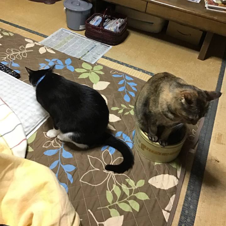 B5d17b2f 5bd9 4bd0 a955 19fc2b6a3951 1762510835222