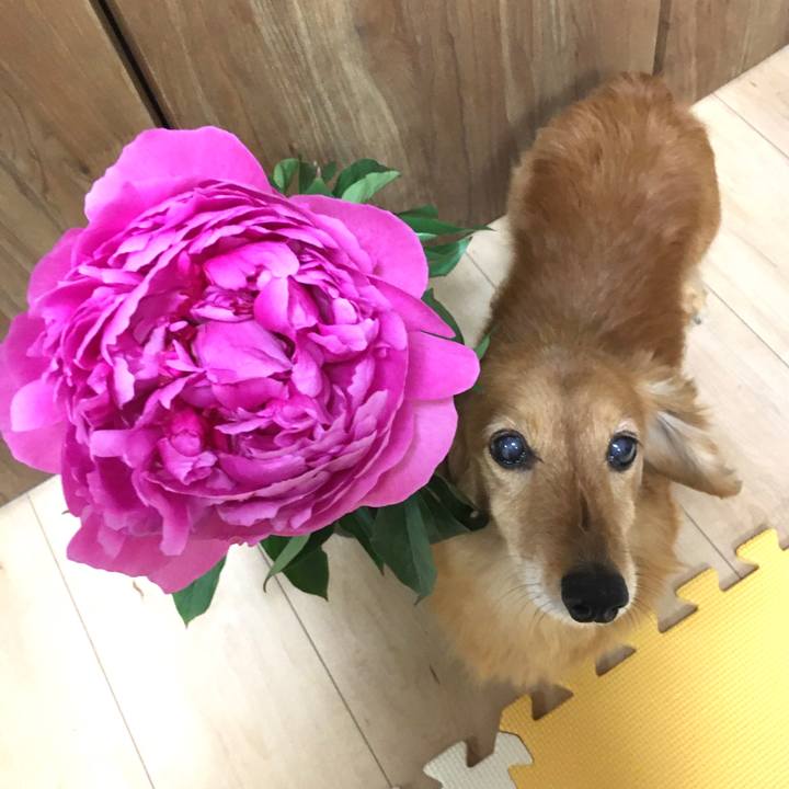 B5d18130 95bb 47ef 96d8 7db47506b2f4 1619528224631