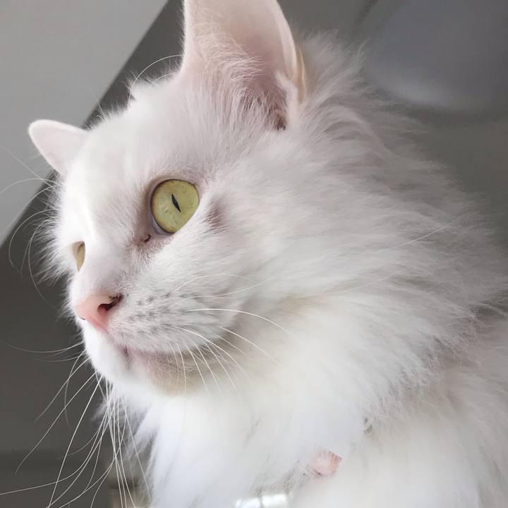 B5d1851e ef3e 45c9 958d 2e5268f4d994 1553391079172