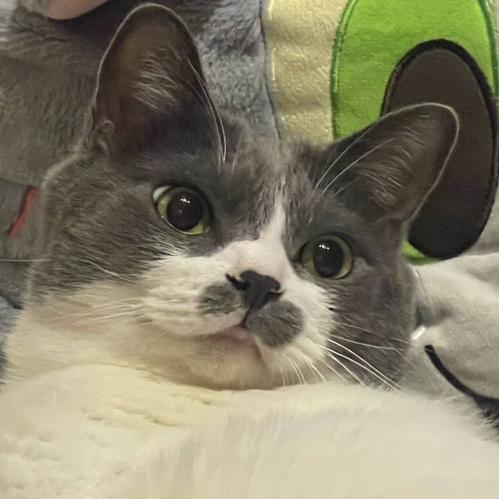 B5d1994f a2f3 4033 97dd 1635d2666caf 1753718651975