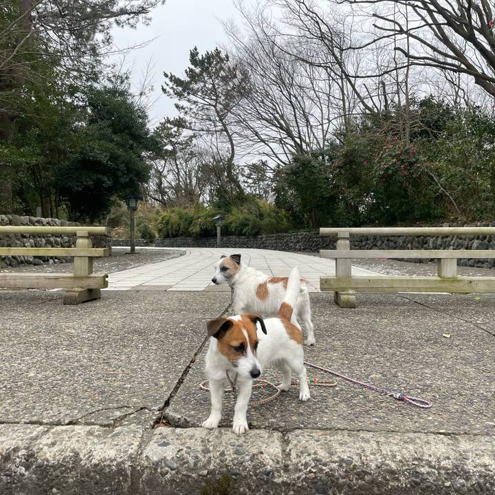 B5d1a574 409e 4cbc 94c4 c810c2b47af7 1647559607751