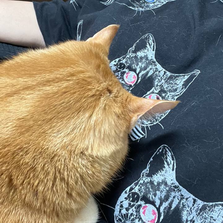 B5d1a973 0401 4965 b1b9 3a3b87e4cfcc 1719357569911