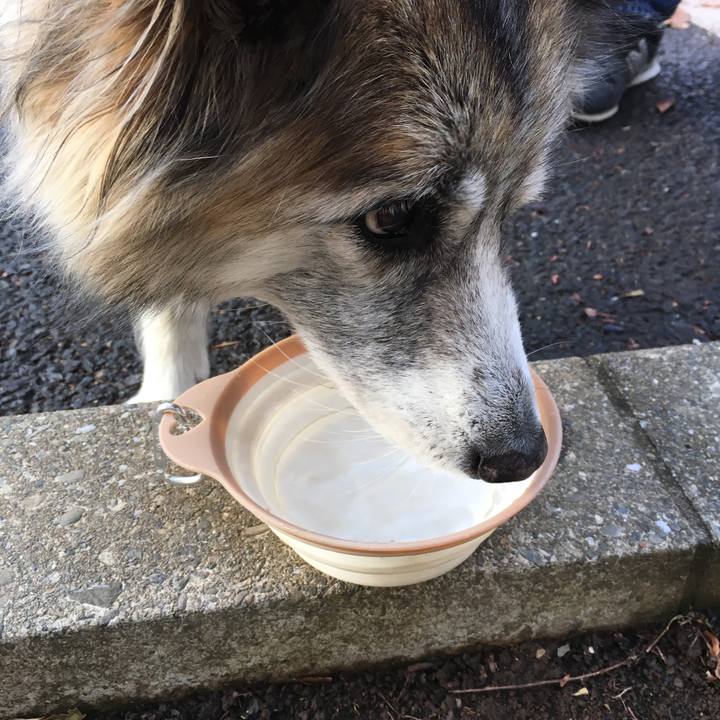 B5d1e7cd 1864 4718 bf6c be377388b943 1511932320468