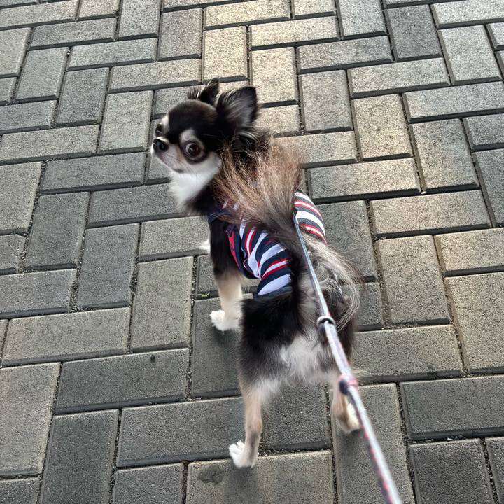 B5d21dc3 4914 4de5 8ba6 aa5bd7b38613 1722785303416