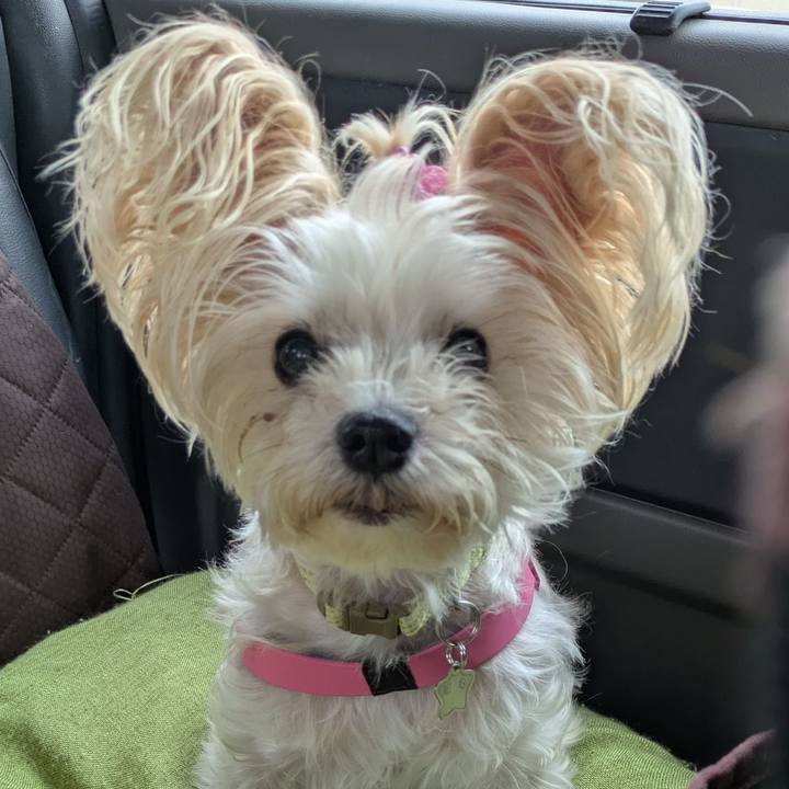 B5d22a3a b943 4294 9585 1a428d372fcb 1757640524841