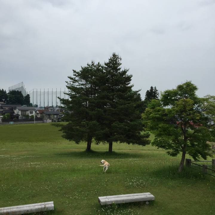 B5d22d8e 9f4f 4961 ab8d c106676c7f4d 1527657520088