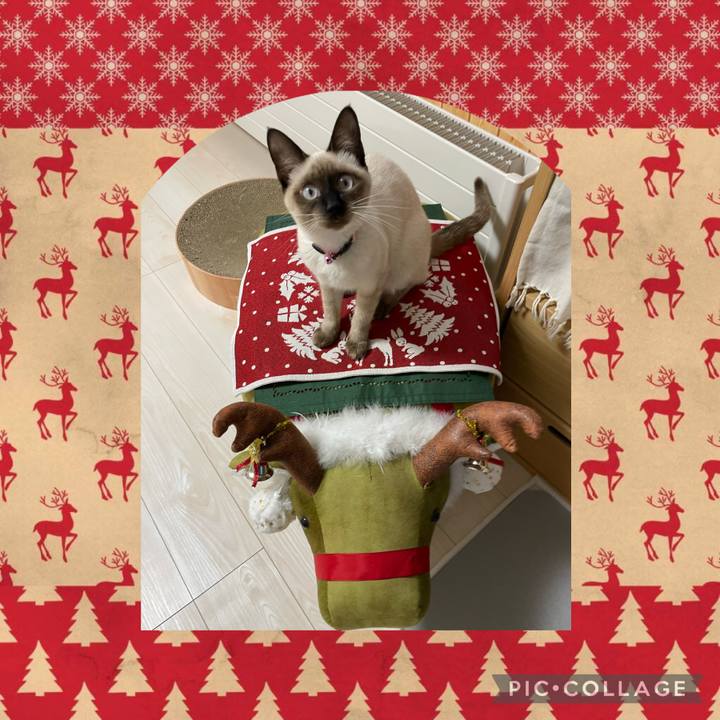 B5d22e72 42c9 4ac0 8088 9597067e8bd9 1699000413683