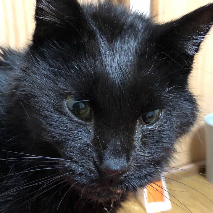 B5d24733 0fba 486f 85c6 5ec47a93b7e5 1647377417471