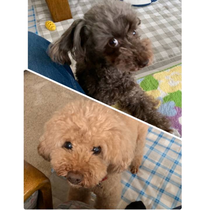 B5d2486a 172d 463d b260 ac074ea2a98a 1563319008217