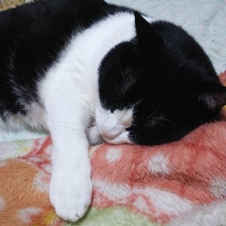 B5d26e24 6fa8 439b 8dff 877918b53bde 1561245863876